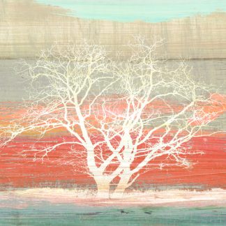Stampa d'arte
