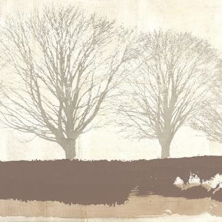 Stampa d'arte