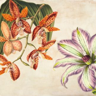 Stampa d'arte