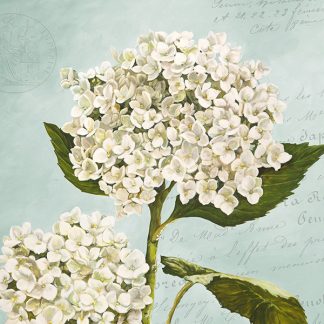 Stampa d'arte