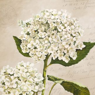 Stampa d'arte