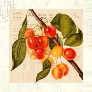Stampa d'arte