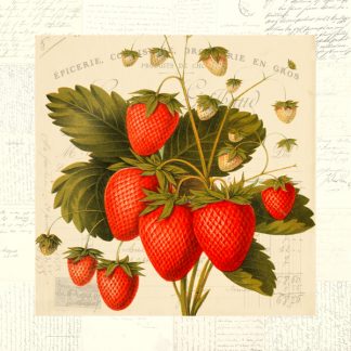 Stampa d'arte