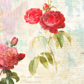 Stampa d'arte