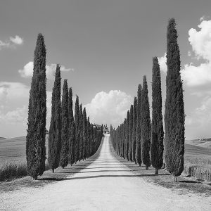 Stampa d'arte