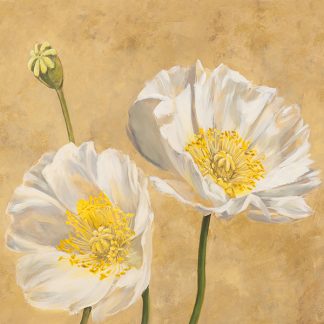 Stampa d'arte