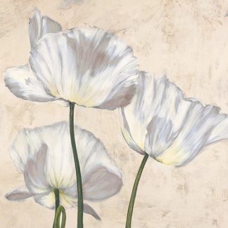 Stampa d'arte