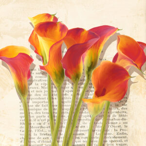 Stampa d'arte