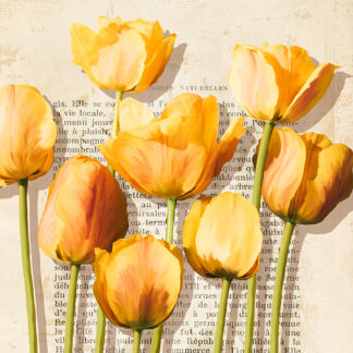 Stampa d'arte