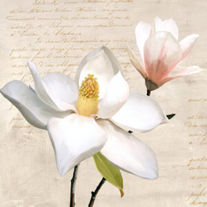 Stampa d'arte