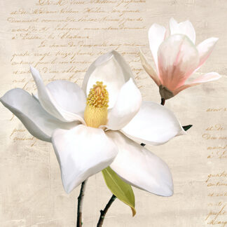 Stampa d'arte