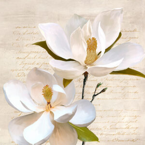 Stampa d'arte