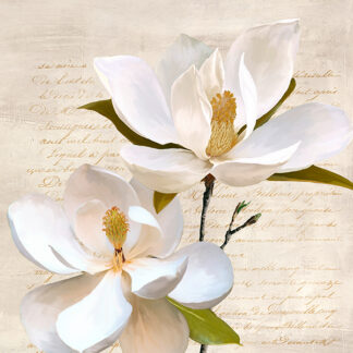 Stampa d'arte