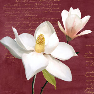 Stampa d'arte