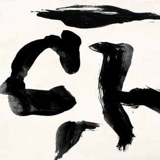 Stampa d'arte
