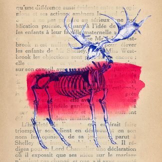 Stampa d'arte
