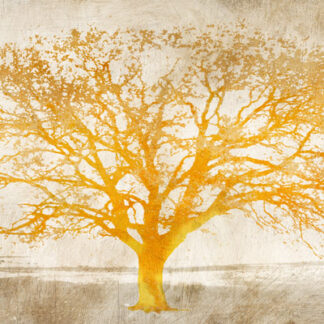 Stampa d'arte