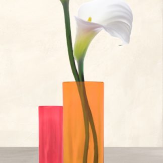 Stampa d'arte