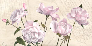 Stampa d'arte