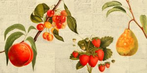 Stampa d'arte