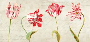 Stampa d'arte