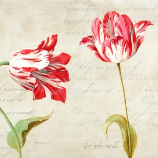 Stampa d'arte