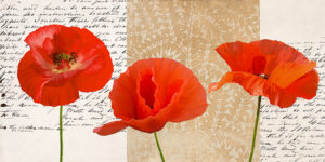Stampa d'arte