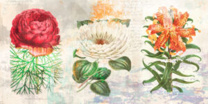 Stampa d'arte