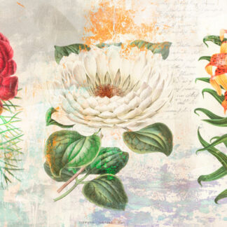 Stampa d'arte
