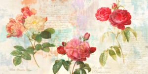 Stampa d'arte