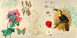 Stampa d'arte