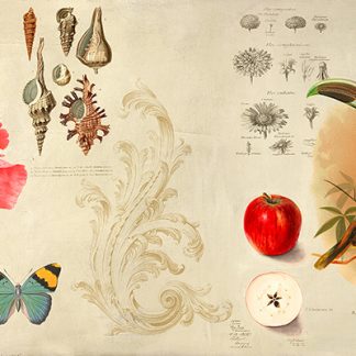 Stampa d'arte