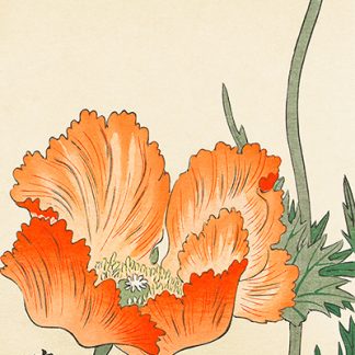 Stampa d'arte