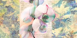 Stampa d'arte