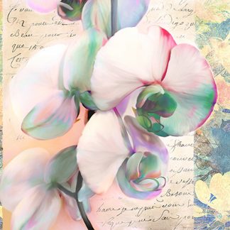 Stampa d'arte