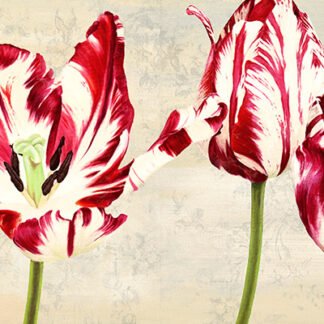 Stampa d'arte