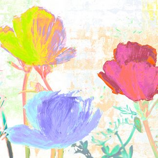 Stampa d'arte