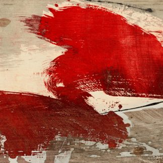 Stampa d'arte