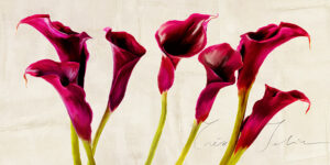 Stampa d'arte