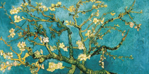 Stampa d'arte