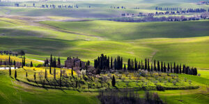 Stampa d'arte