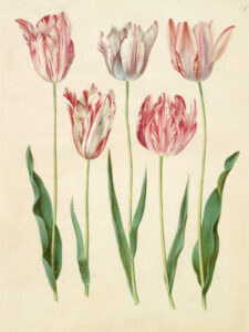 Stampa d'arte