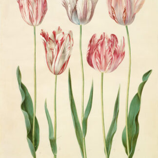 Stampa d'arte