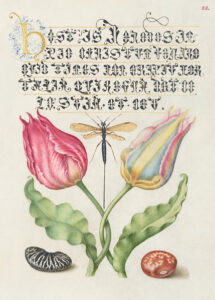 Stampa d'arte