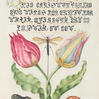 Stampa d'arte