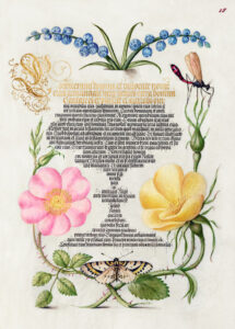 Stampa d'arte