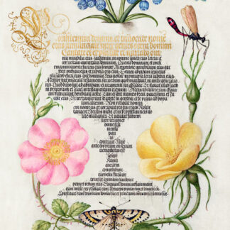 Stampa d'arte