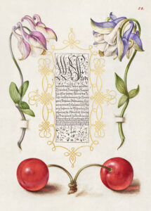Stampa d'arte