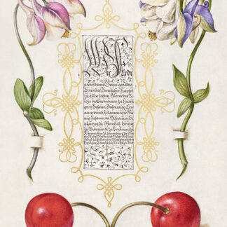 Stampa d'arte