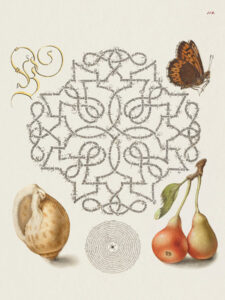 Stampa d'arte